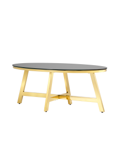 Журнальный стол Stool group АЛЬБА, 100*50, стекло черное, сталь золото