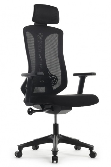 Кресло офисное Рива Riva Chair A2101 Черный